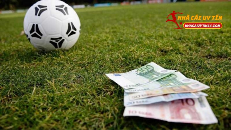 Cược Kép Là Gì? Hướng Dẫn Toàn Tập Về Cược Kép 3 Cược Kép Là Gì