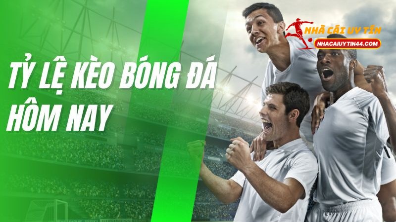 Kèo 1.25 - Giải Thích Cách Chơi Và Kinh Nghiệm Thắng Lớn 1 Kèo 1.25