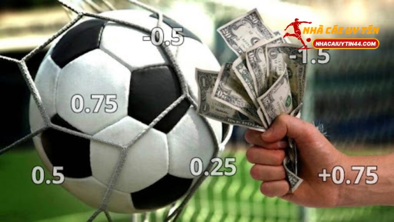 Kèo Chấp 0.5 Là Gì? Hướng Dẫn Chơi Kèo Chấp 0.5 Chuẩn Xác 1 Kèo Chấp 0.5