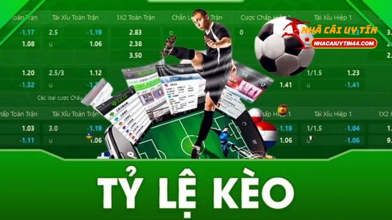 Kèo Chấp 0.5 Là Gì? Hướng Dẫn Chơi Kèo Chấp 0.5 Chuẩn Xác 3 Kèo Chấp 0.5
